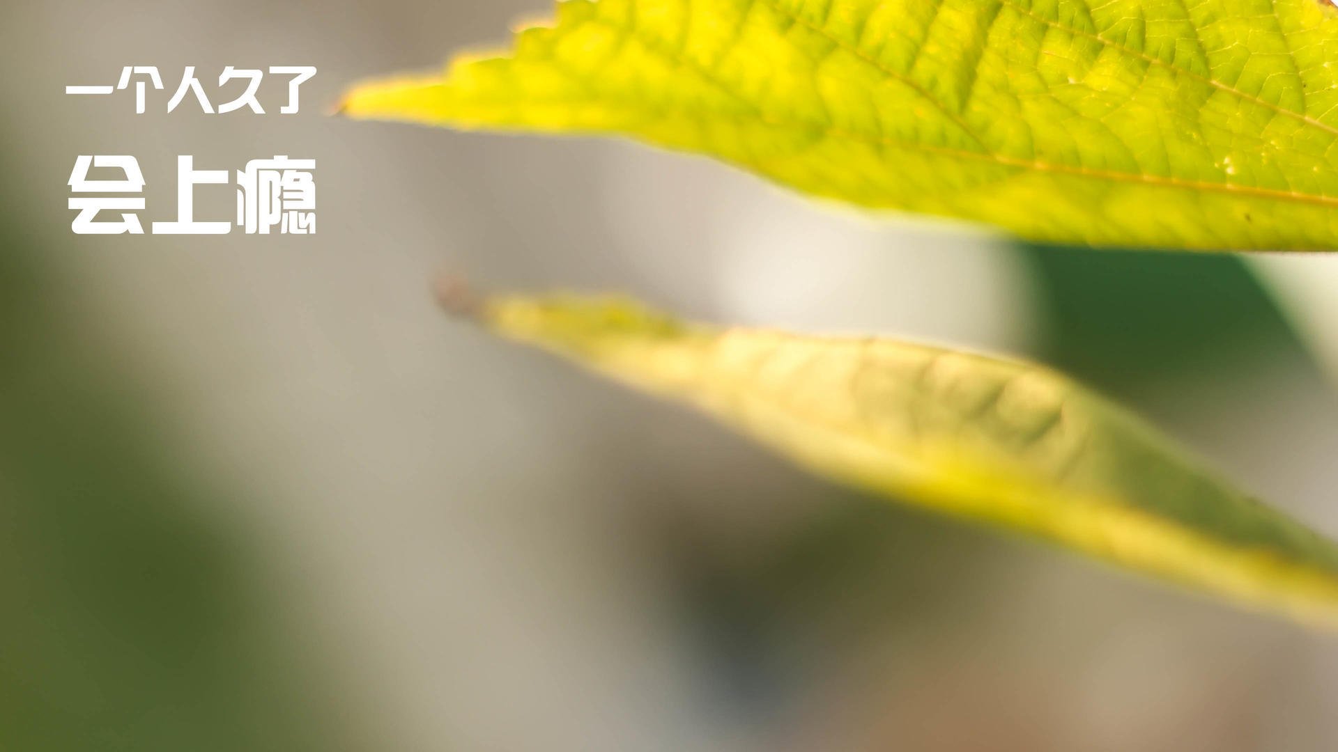 乐鱼电竞在线平台登录入口-中国香港队赛制探讨:如何依托团体赛推动团队协作,香港队比赛