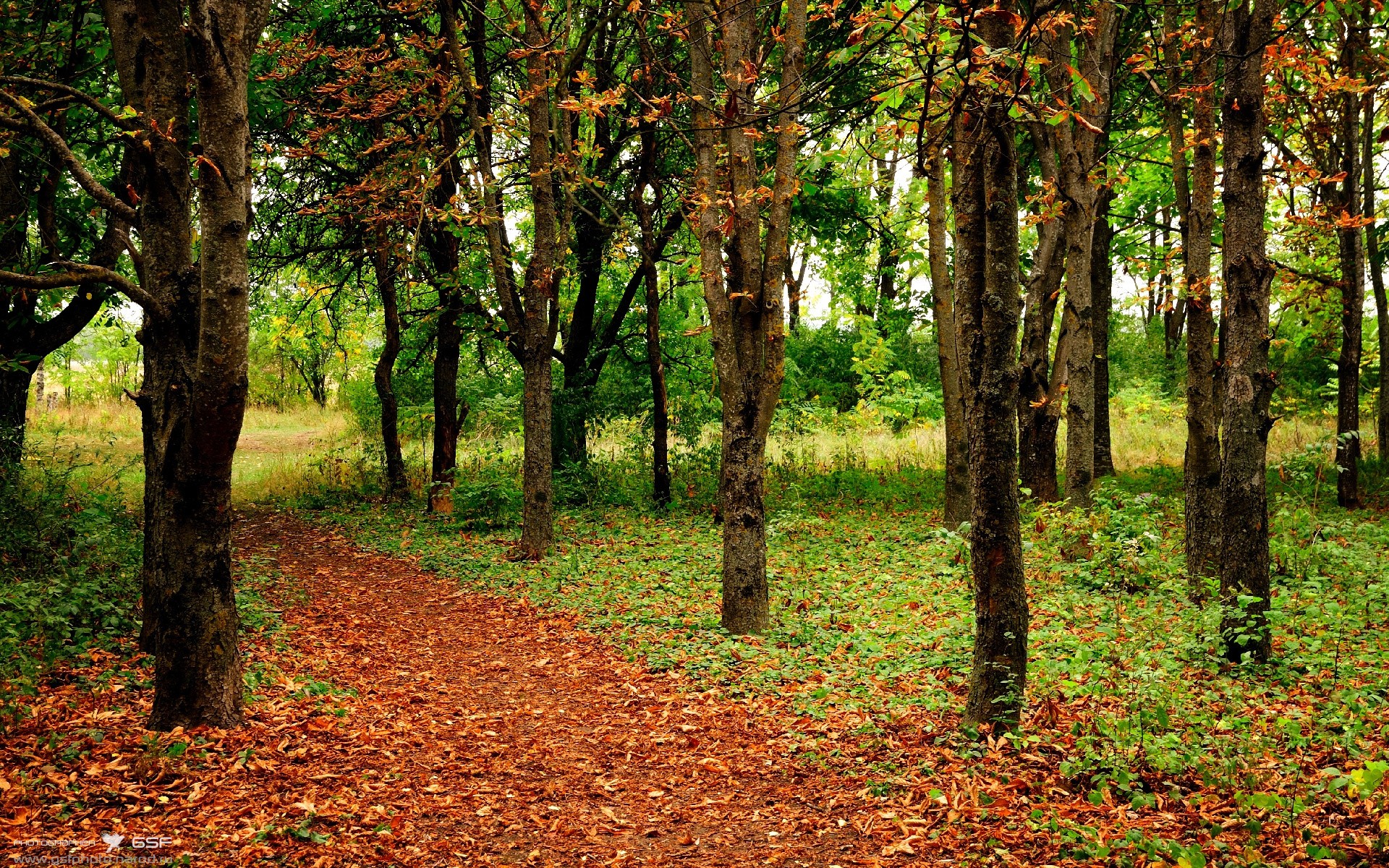 LEYU乐鱼体育官方网站-亚洲杯中国女足平局 球员表现中规中矩，亚洲女足水平