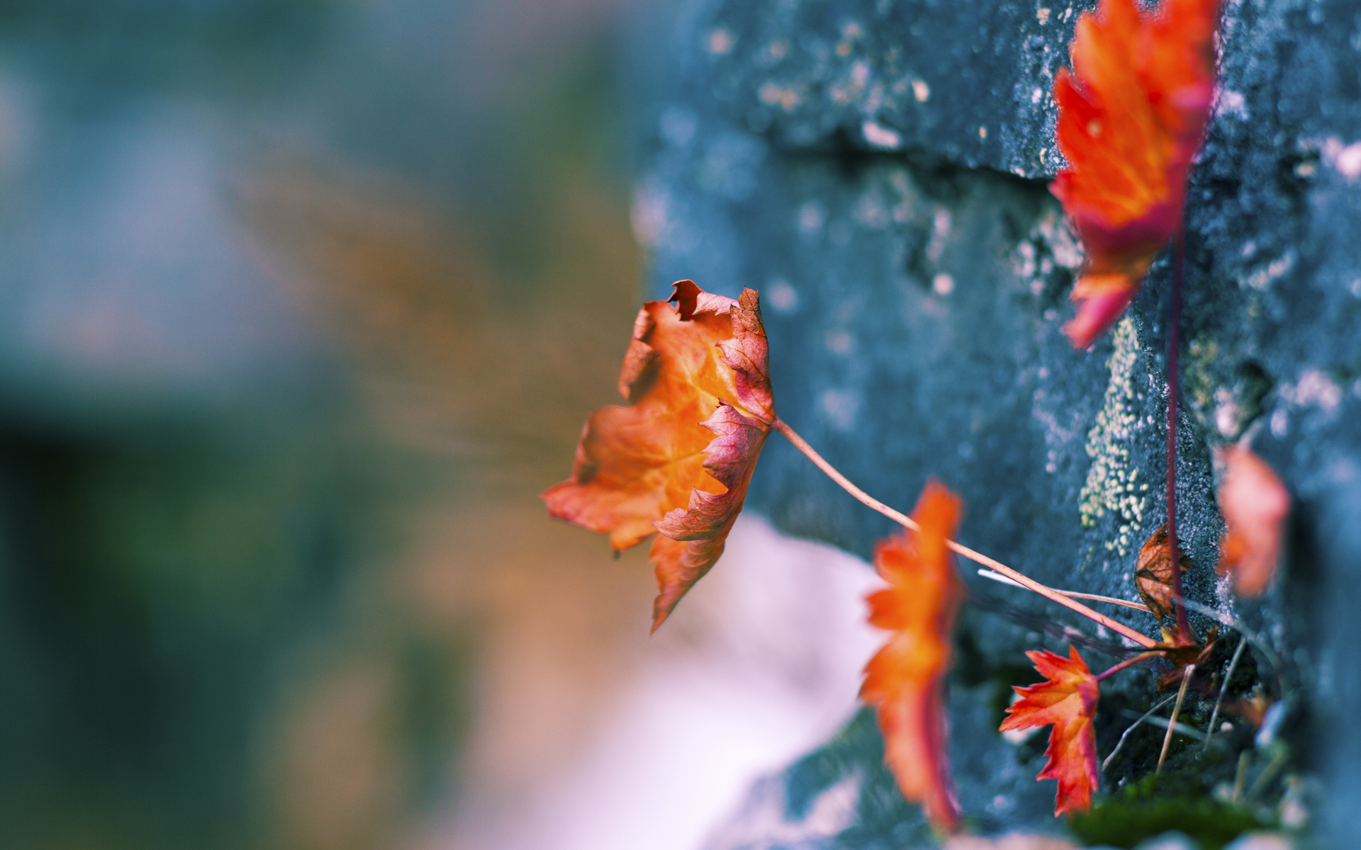 乐鱼(中国)体育官方网站-国际米兰三线站位紧凑形成防守铁墙,国际米兰的阵型