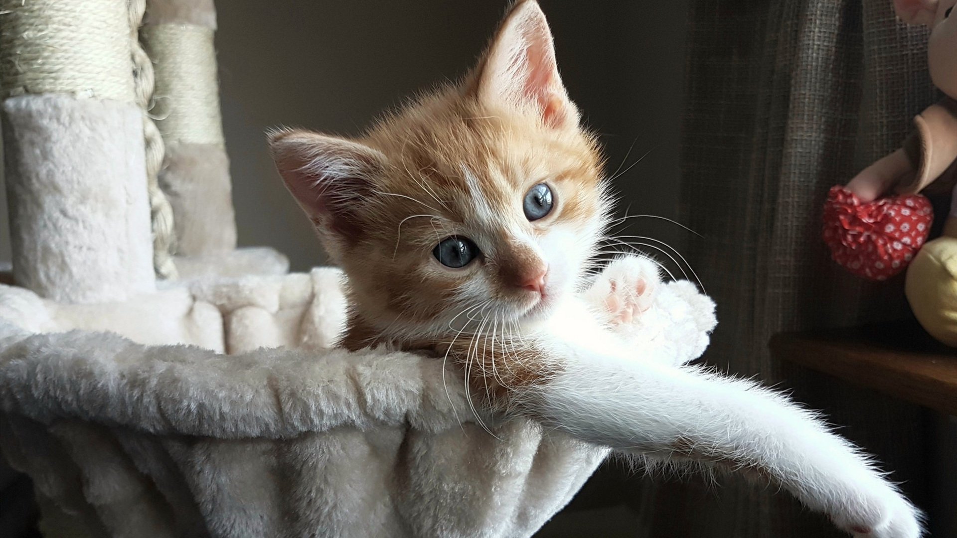 乐鱼体育平台app下载-大数据分析助力赛事规划,大数据分析赛和大数据应用创新项目设计赛两类赛项