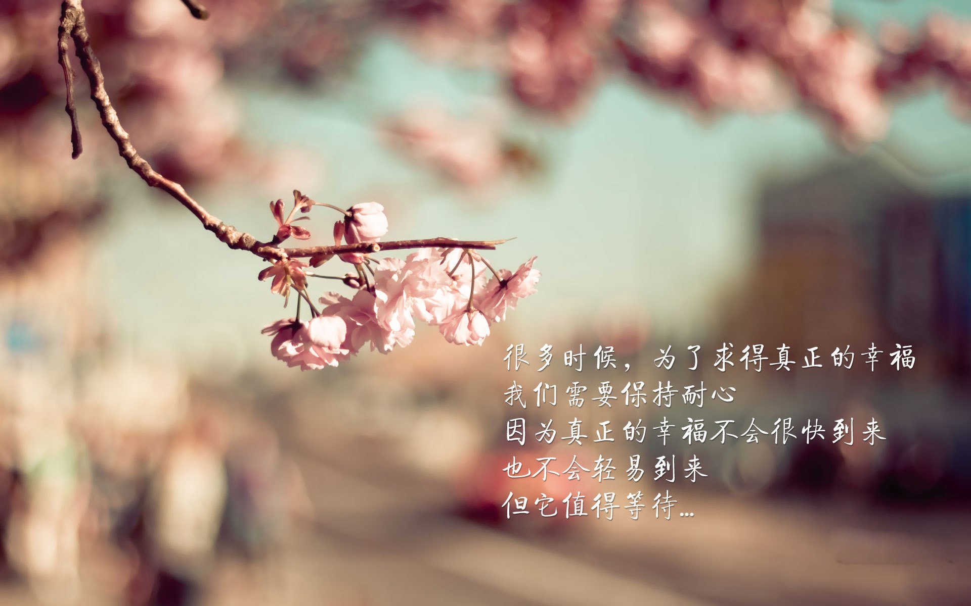 乐鱼体育平台app下载-男队整体表现获国际好评，男队整体表现获国际好评的球员