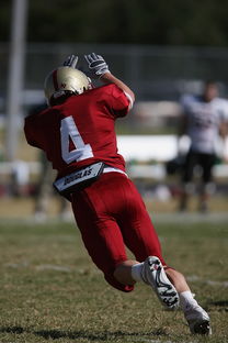 乐鱼体育App下载-CBA赛季转会期开放多支球队进行大规模阵容调整，cba转会动态2021