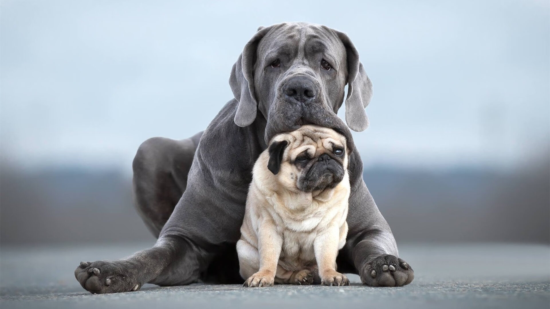 乐鱼体育登录-公牛队医介绍球员身体康复新流程更科学，公牛队现状