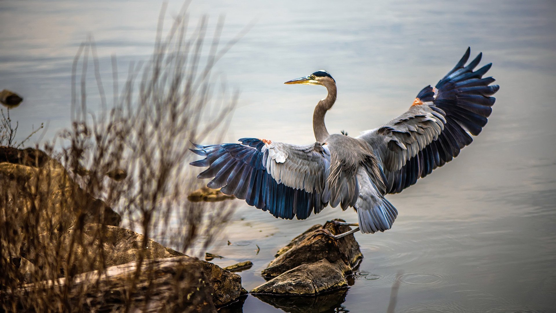 乐鱼体育App下载-希腊女篮在欧洲锦标赛中锐意进取,继续追求冠军梦,希腊女篮世界排名