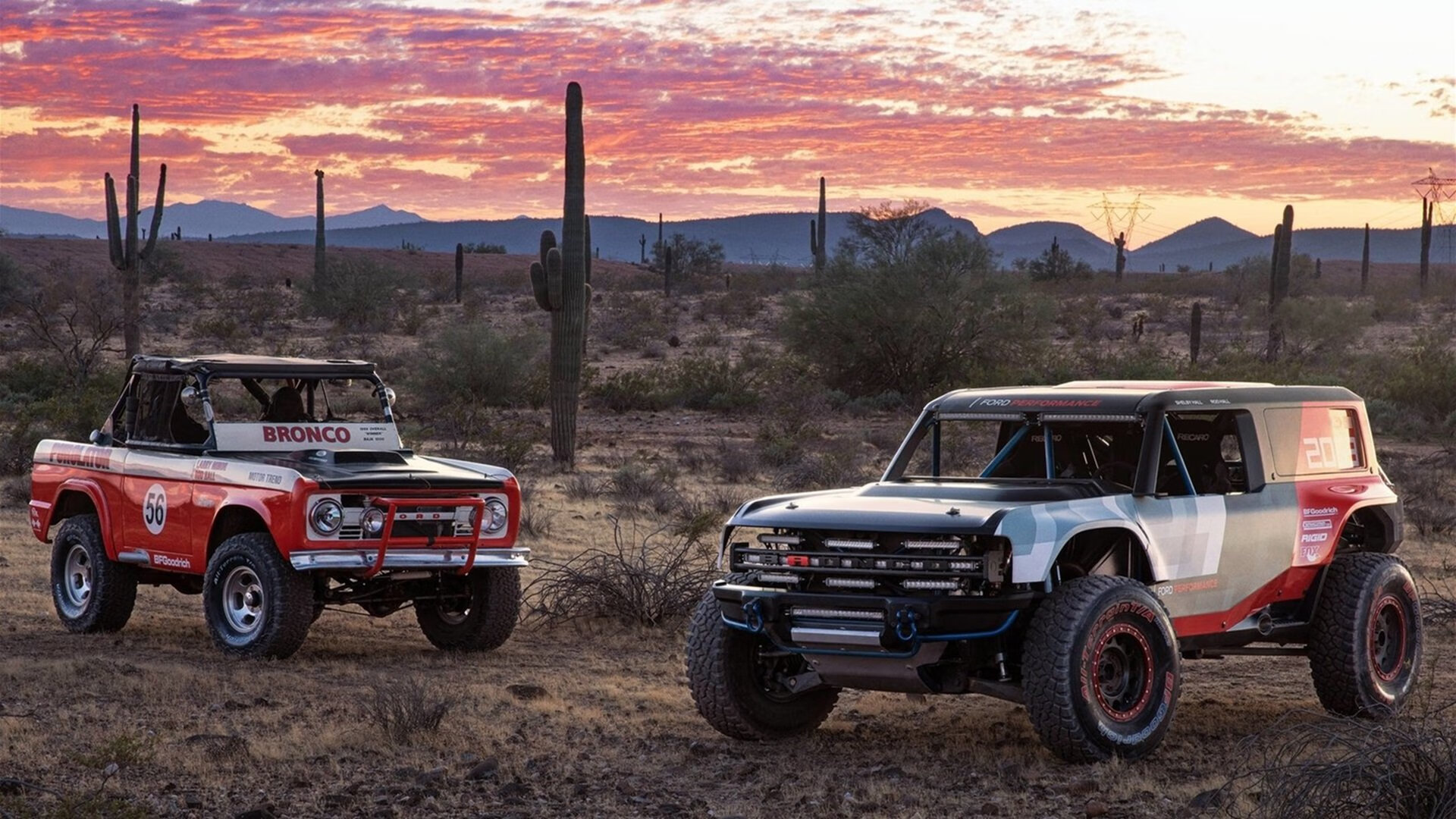 乐鱼体育登录-张雨霏冲刺阶段反超获得接力金牌,张雨霏接下来比赛