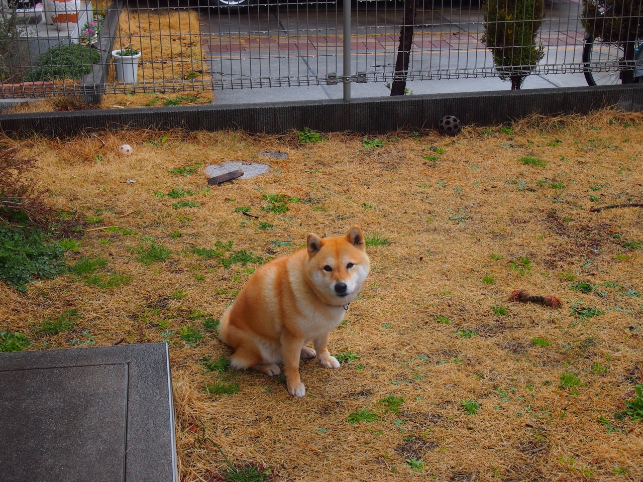 LEYU乐鱼体育官方网站-德甲火爆大战:攻防转换,激烈非常!,德甲收官战