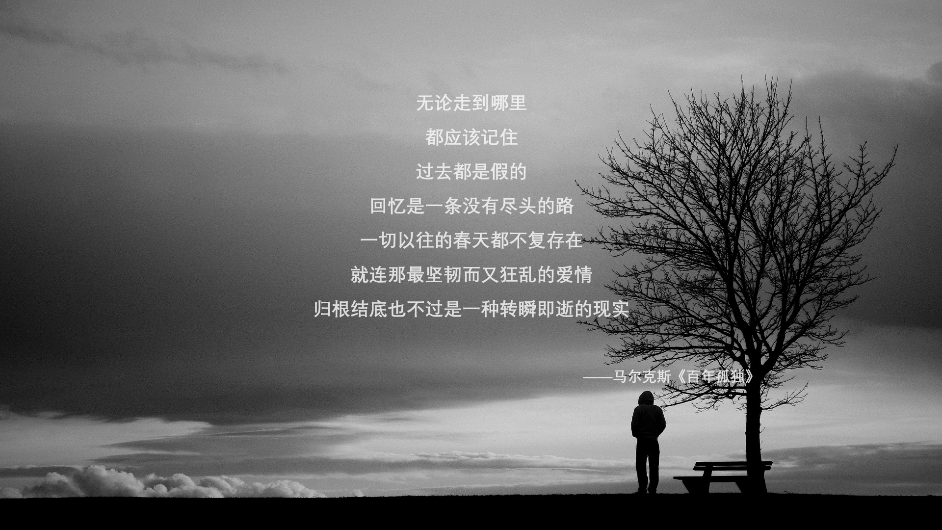 乐鱼app-新闻中心通报教练员年度培训计划执行情况,教练员业务培训总结